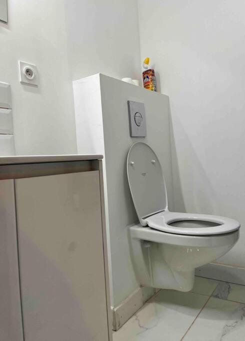 2 Room Flat Tuluza Zewnętrze zdjęcie
